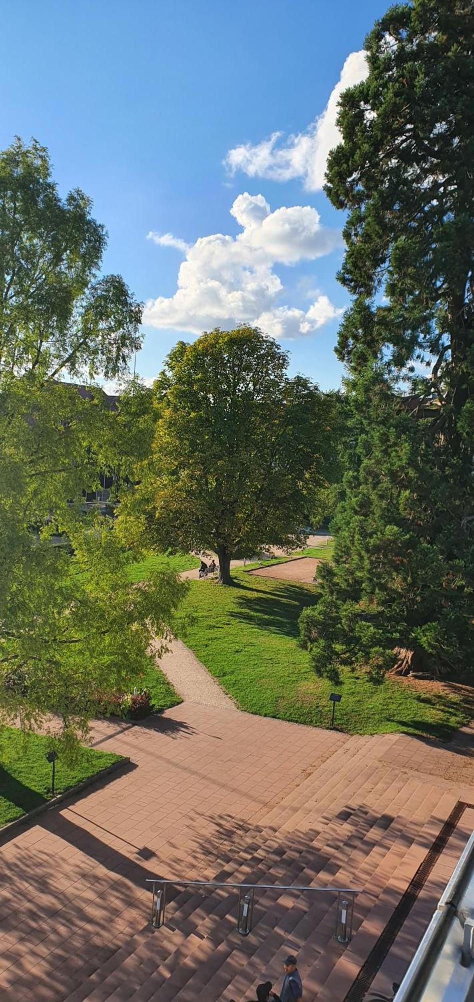 Appartamento Haus Ludwig Freudenstadt Esterno foto